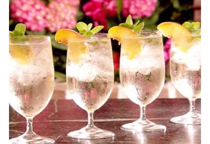 スプリッツアー